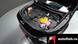 Миниатюра 6