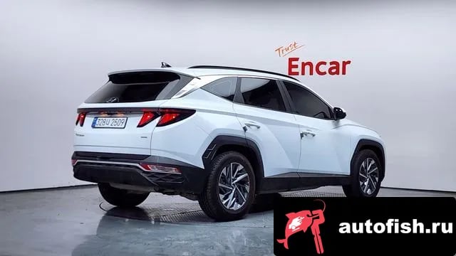 Hyundai Tucson The New Tucson (NX4) 2023 года - вид 2