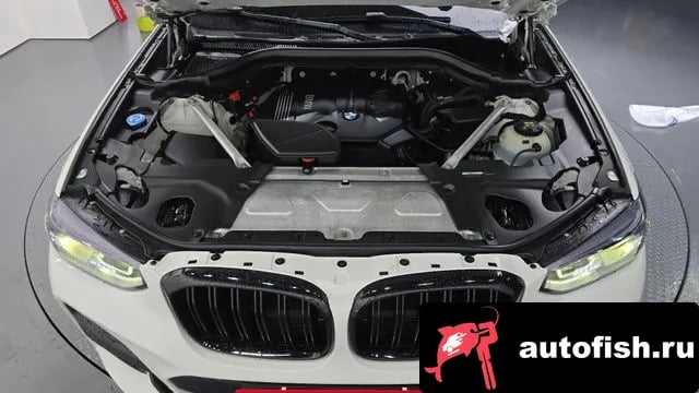 BMW X4 X4 (G02) 2018 года - вид 5