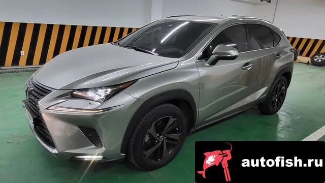 Lexus NX NX300h 2019 года - вид 1