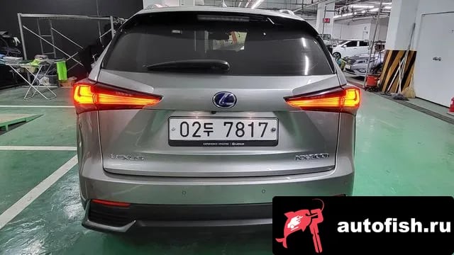 Lexus NX NX300h 2019 года - вид 4