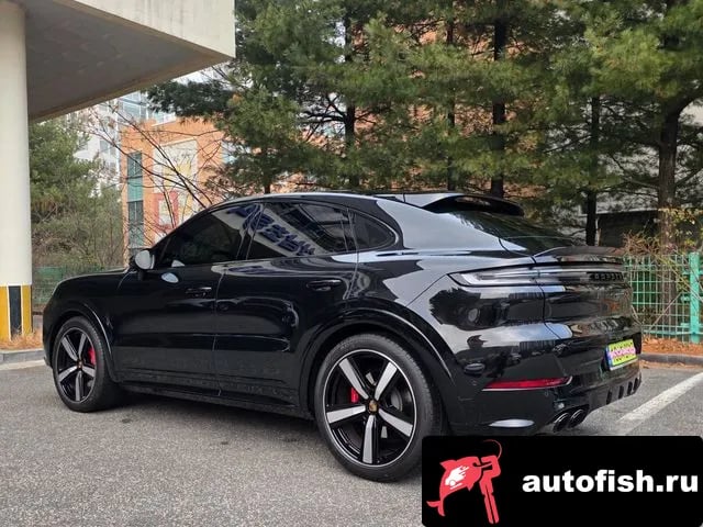 Porsche Cayenne Cayenne (PO536) 2025 года - вид 2