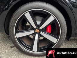 Миниатюра 5