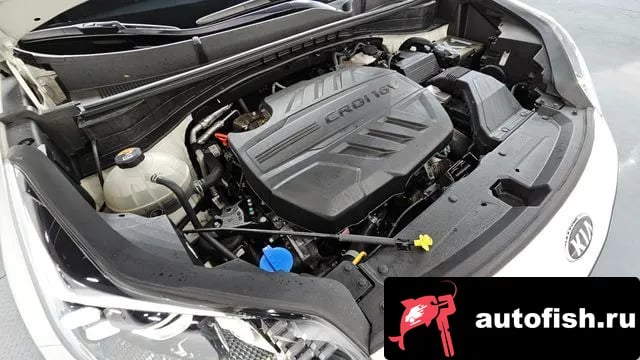 Kia Sportage Sportage The Bold 2020 года - вид 6