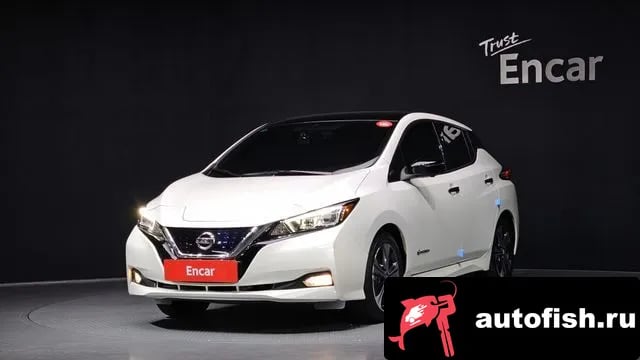 Nissan Leaf Leaf (ZE1) 2020 года - автомобиль из Южной Кореи