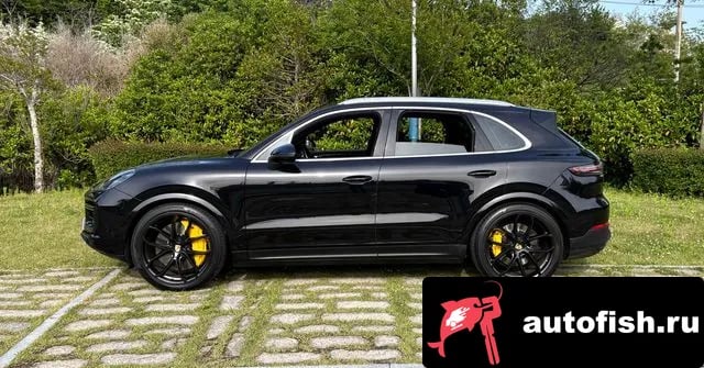 Porsche Cayenne Cayenne (PO536) 2019 года - вид 5
