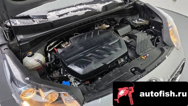 Kia Sportage Sportage The Bold 2020 года - вид 6