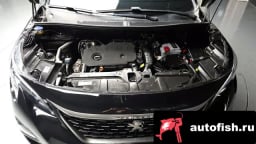 Миниатюра 6