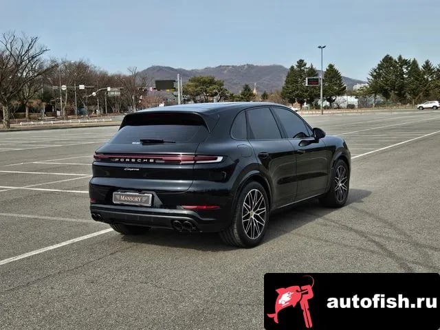 Porsche Cayenne Cayenne (PO536) 2024 года - вид 2