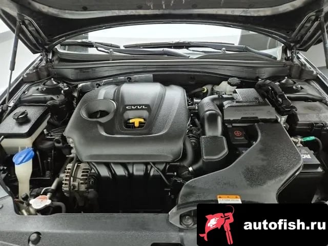 Kia K5 The New K5 2nd generation 2019 года - вид 5