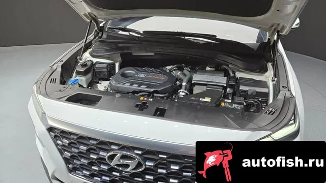 Hyundai Santafe San Tafe TM 2019 года - вид 6