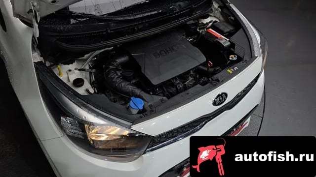 Kia morning All New Morning (JA) 2019 года - вид 6