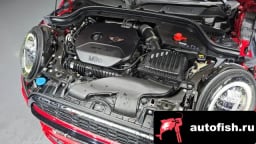 Миниатюра 6