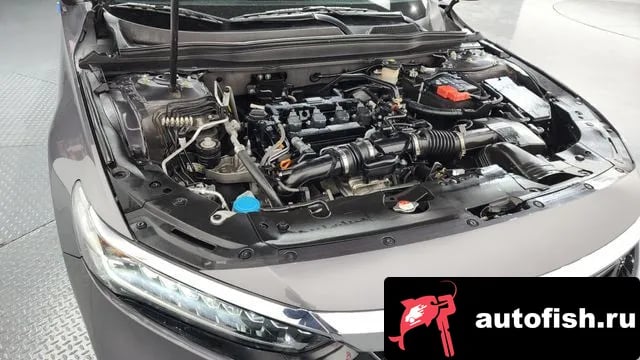 Honda Accord Accord 10th Generation 2019 года - вид 6