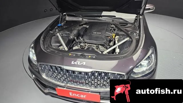 Kia K9 More K9 2019 года - вид 6