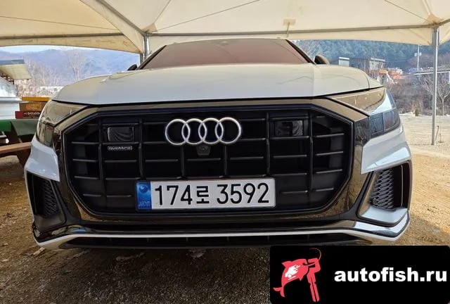 Audi Q8 Q8 (4M) 2023 года - вид 1