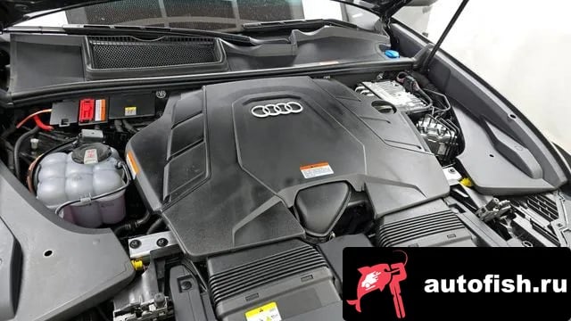 Audi Q8 Q8 (4M) 2025 года - вид 6