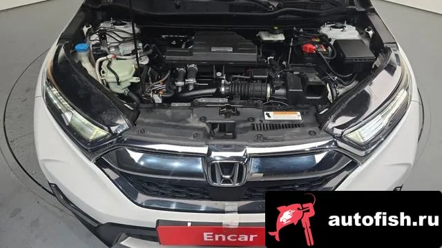 Honda CR-V CR-V 5th generation 2019 года - вид 6