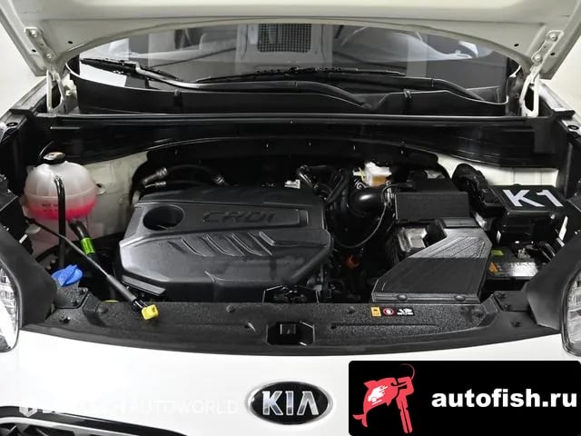 Kia Sportage Sportage The Bold 2020 года - вид 6