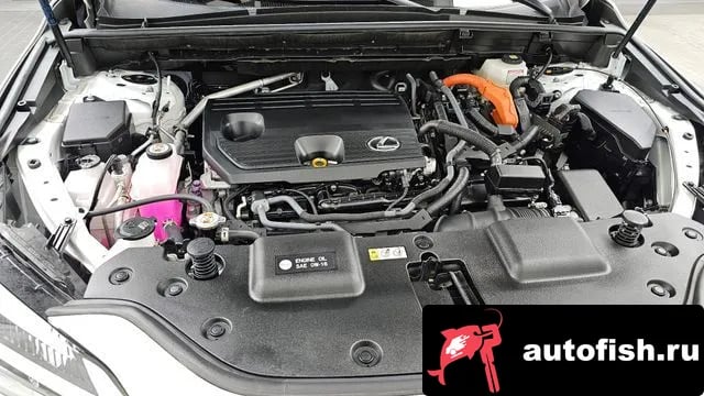 Lexus NX NX350h Second generation 2024 года - вид 6