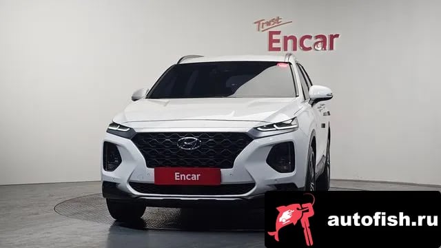Hyundai Santafe San Tafe TM 2019 года - вид 3