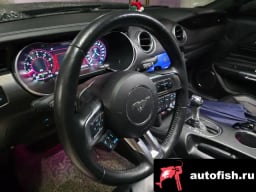 Миниатюра 5