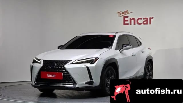 Lexus UX UX250h 2019 года - вид 1