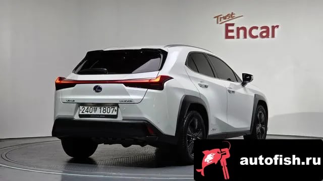 Lexus UX UX250h 2019 года - вид 2