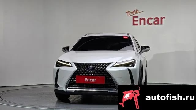 Lexus UX UX250h 2019 года - вид 3