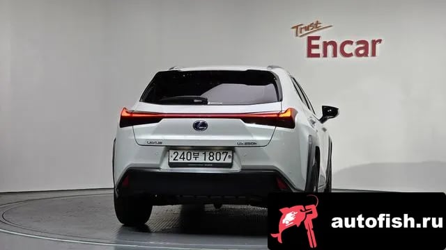 Lexus UX UX250h 2019 года - вид 4