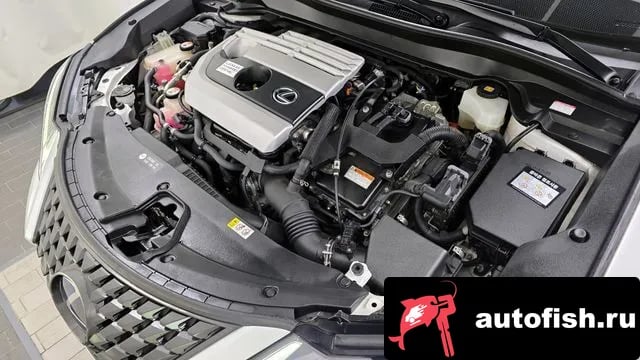 Lexus UX UX250h 2019 года - вид 6