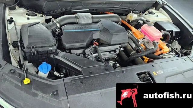 Hyundai Tucson Tucson Hybrid (NX4) 2021 года - вид 6