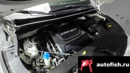 Миниатюра 6