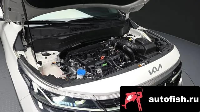 Kia Seltos The New Celtos 2024 года - вид 6