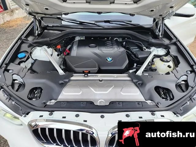 BMW X4 X4 (G02) 2020 года - вид 6