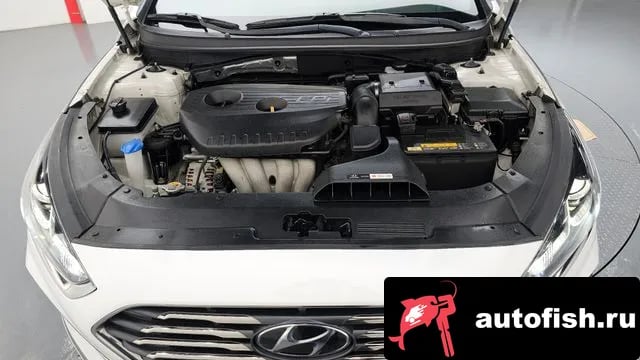 Hyundai Sonata Sonata New Rise 2019 года - вид 6