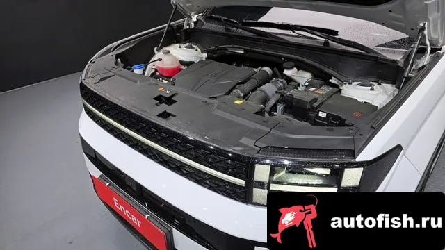 Hyundai Santafe San Tafe (MX5) 2023 года - вид 6