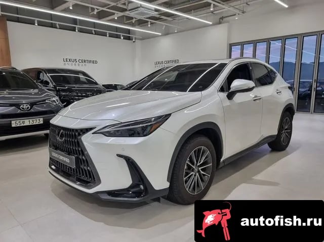 Lexus NX NX450h + 2nd generation 2025 года - вид 1