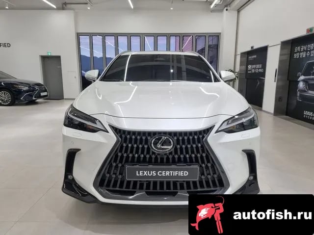 Lexus NX NX450h + 2nd generation 2025 года - вид 3
