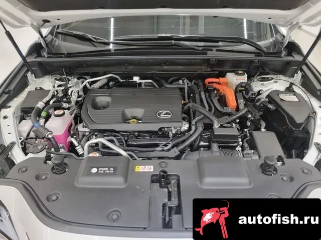 Lexus NX NX450h + 2nd generation 2025 года - вид 6