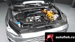 Миниатюра 6