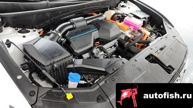 Hyundai Tucson The New Tucson Hybrid (NX4) 2024 года - вид 6