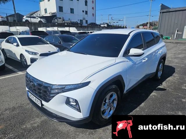 Hyundai Tucson Tucson (NX4) 2023 года - вид 1
