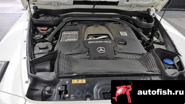 Mercedes-Benz G-Class G-Class W463b 2021 года - вид 6