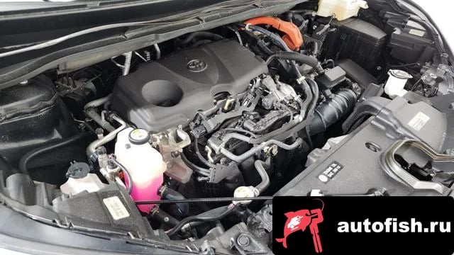 Toyota Sienna Siena 4th Generation 2021 года - вид 6