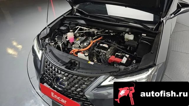 Lexus UX UX300e 2022 года - вид 6