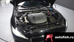 Миниатюра 6