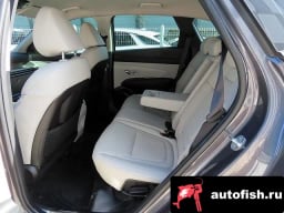 Миниатюра 6