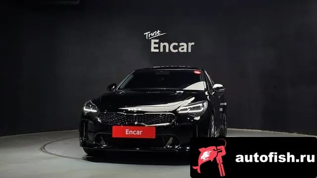 Kia Stinger Stinger Meister 2022 года - вид 3