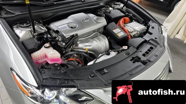 Lexus ES New ES300h 2018 года - вид 6